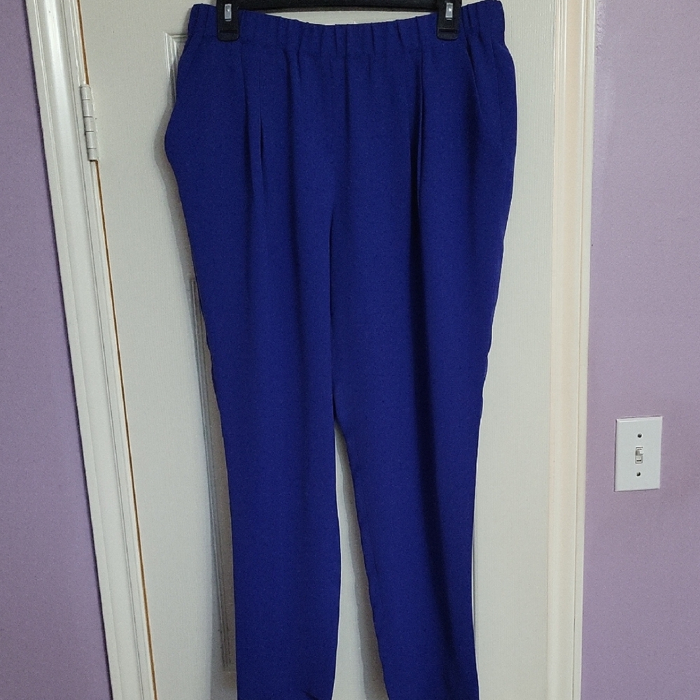 Express Royal Blue Women's Trousers